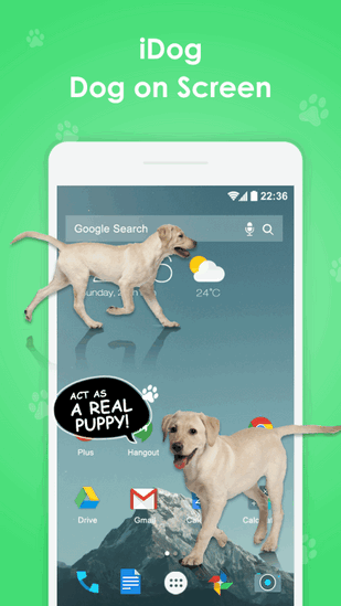 iDoctor