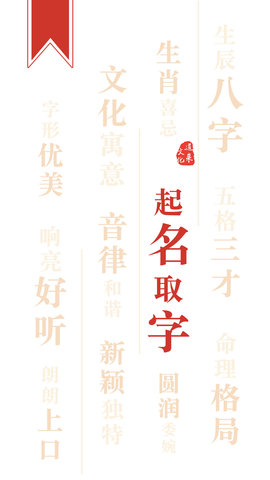 起名取名字大师软件