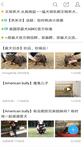 猛犬俱乐部软件