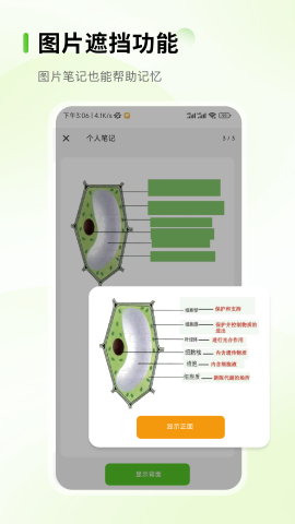 Anymo软件