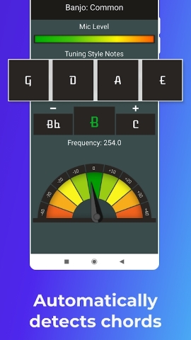 Instrument Tuner软件