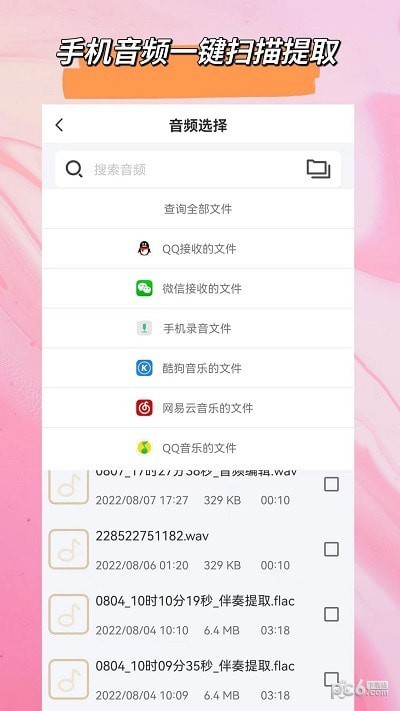 音频格式大师软件