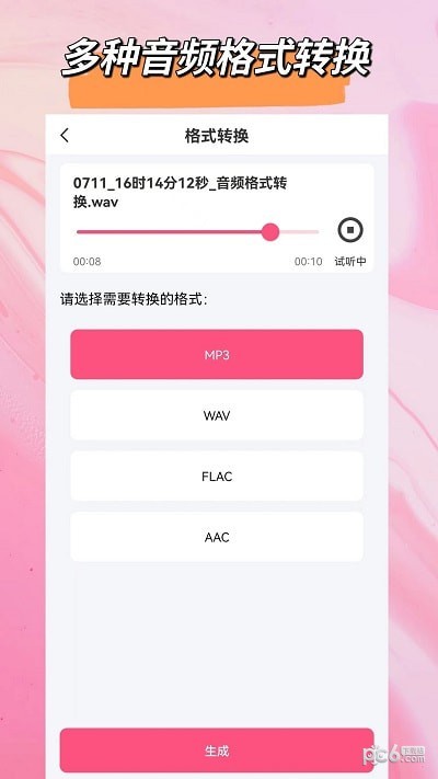 音频格式大师软件