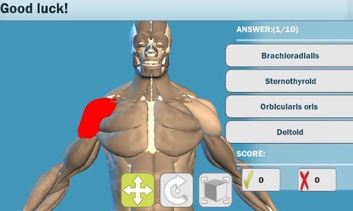 Easy Anatomy 3D软件