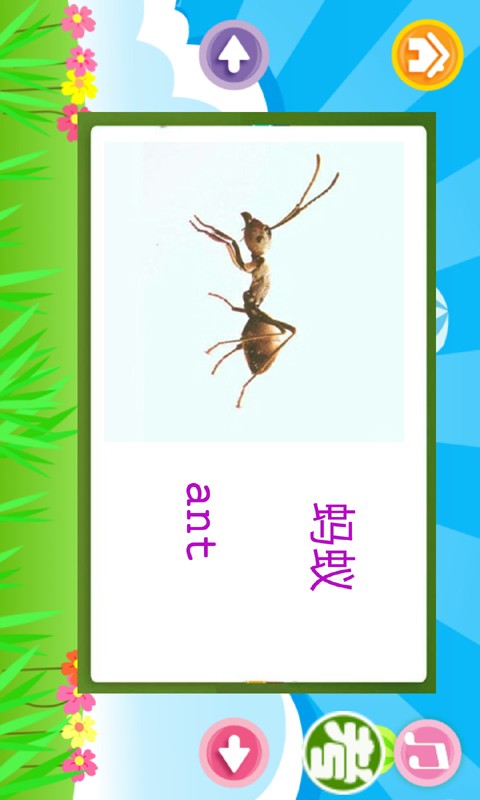 儿童英语教育专家软件