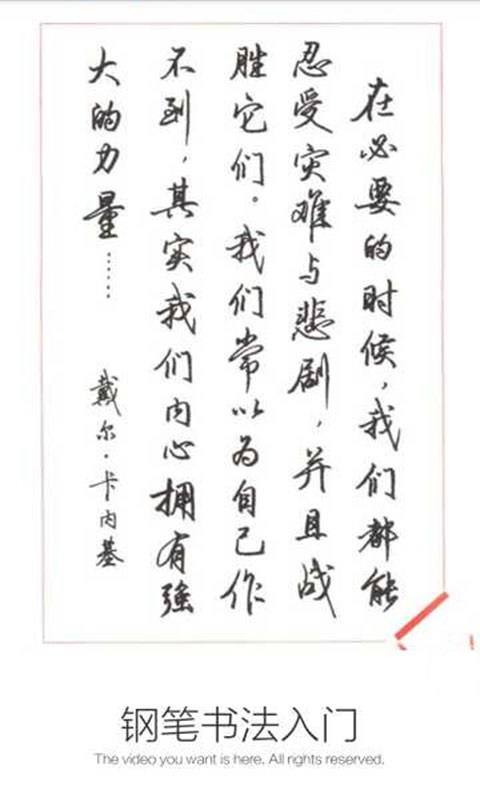 钢笔书法入门软件