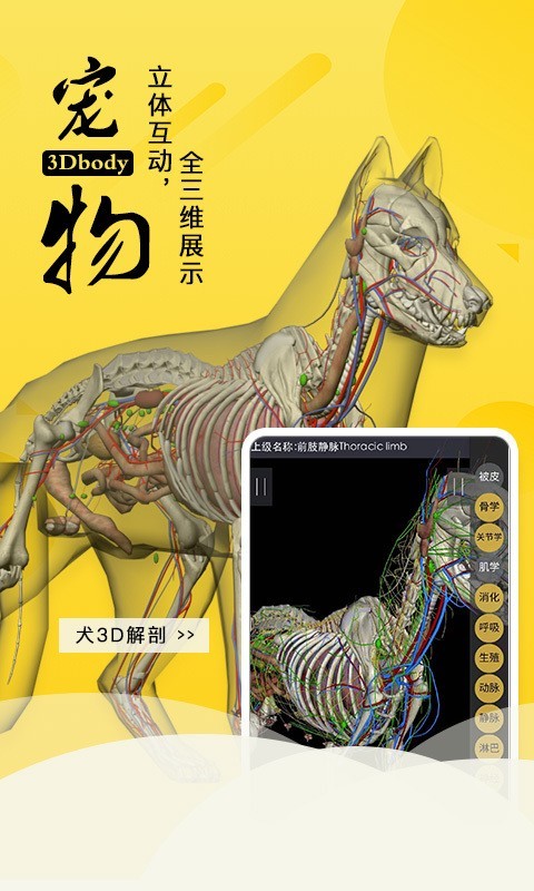 3Dbody解剖软件