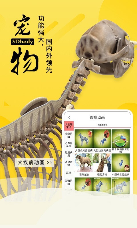 3Dbody解剖软件