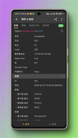 黄鸟抓包(Reqable)软件
