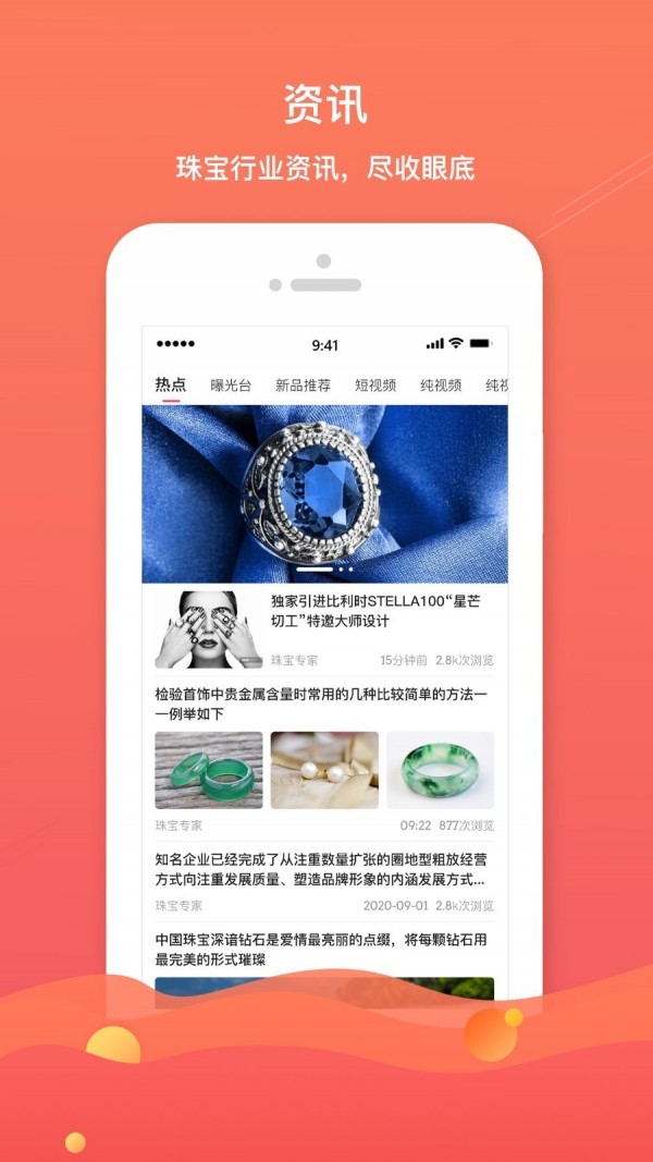 珠宝专家专家版软件