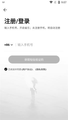 雀乐音乐软件