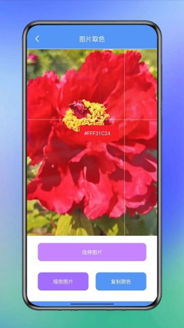 花香部箱子软件