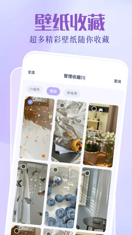 图拉丁软件