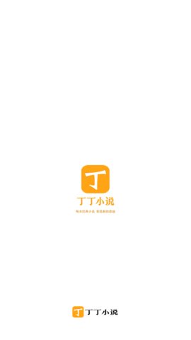丁丁小说软件