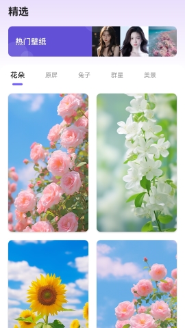 馏馏桌面组件王软件