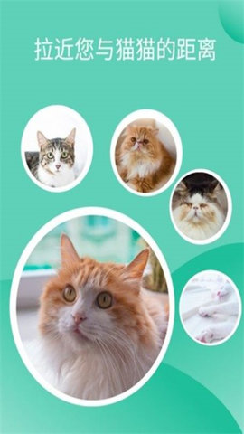 猫猫交流工具软件