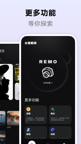 Remo软件