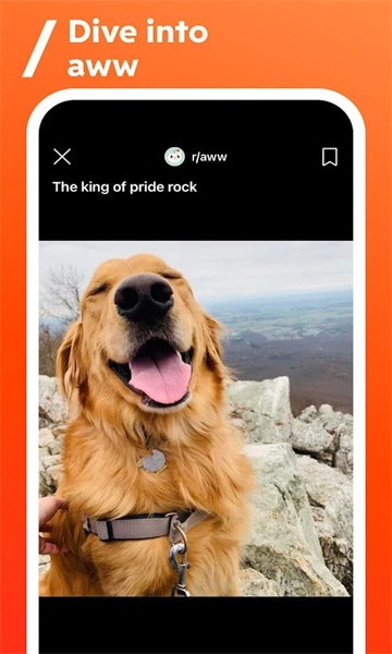 Reddit软件