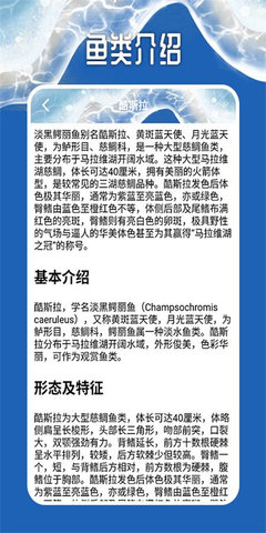 天天钓鱼大师软件