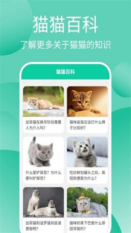猫猫交流工具软件
