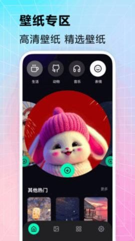 拣爱壁纸软件