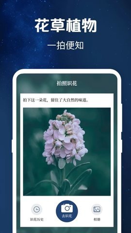 验钞工具软件