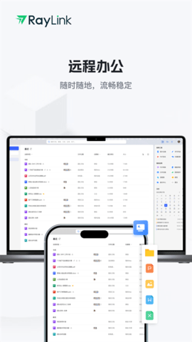 RayLink软件