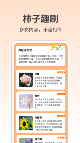 柿子趣刷软件