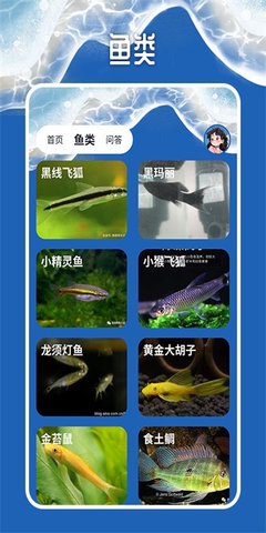 天天钓鱼大师软件