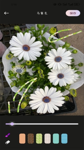 花秀相机软件