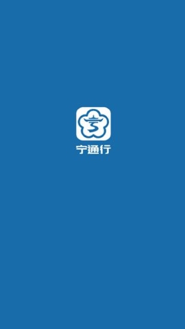 宁通行软件