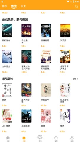 丁丁小说软件