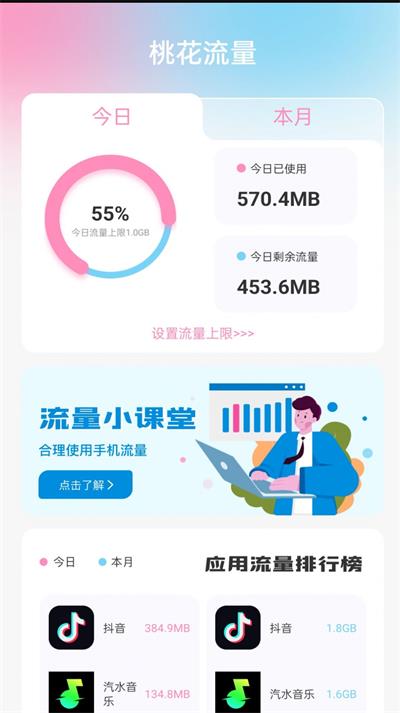 桃花流量软件