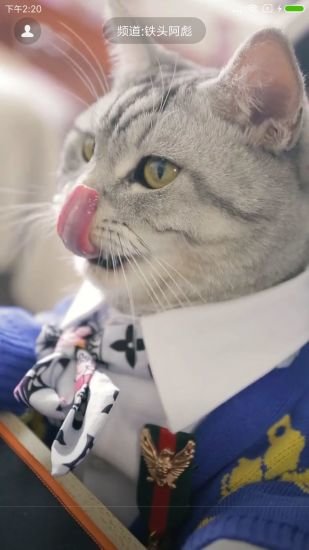 哈萌视频软件