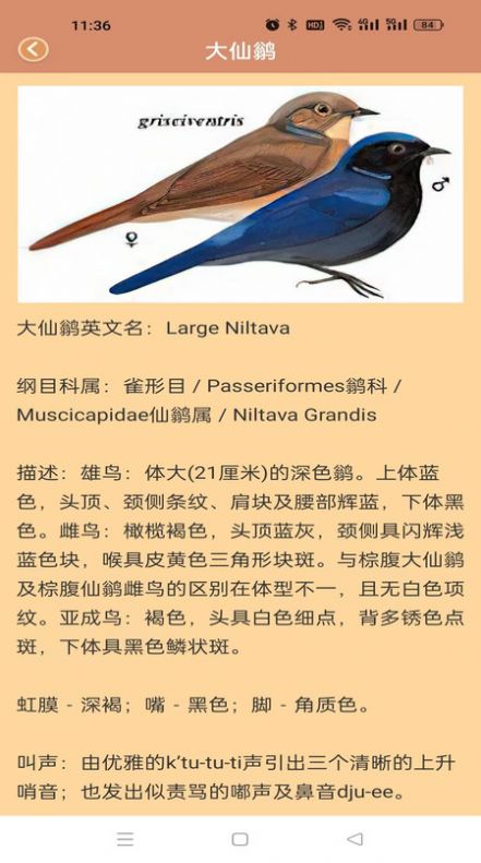 鸭鸭的世界软件