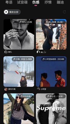 车载音乐库软件