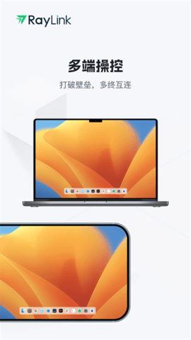RayLink软件