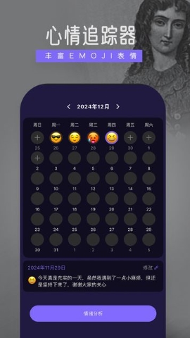 雷诺曼软件