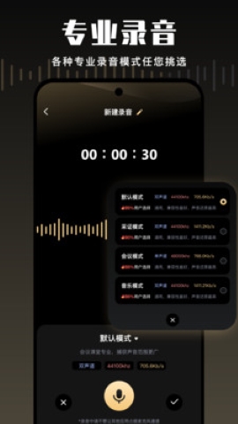 金牌录音软件