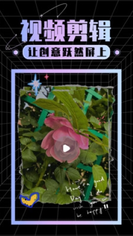 视频剪辑专家软件