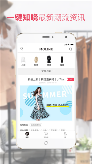 MOLA软件