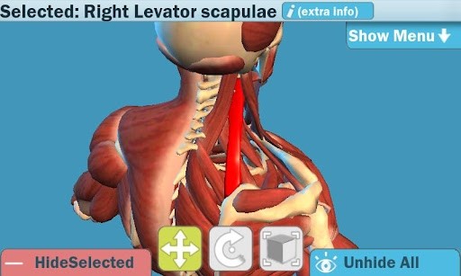 Easy Anatomy 3D软件