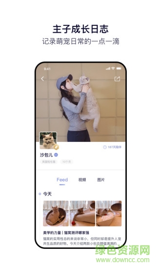 Feed软件