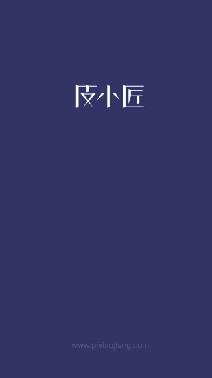 皮小匠软件