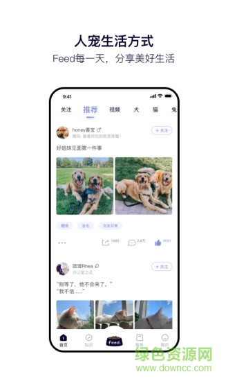 Feed软件
