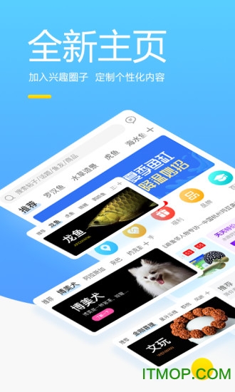 龙巅兴趣联盟软件