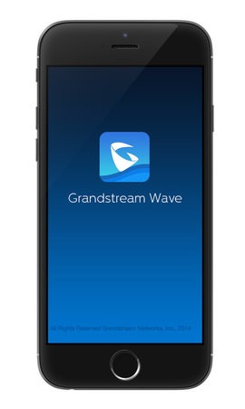GS Wave软件