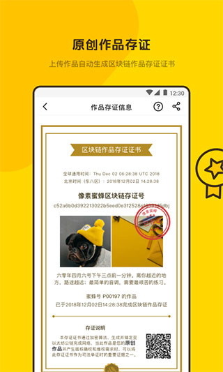 像素蜜蜂软件
