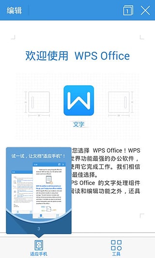 WPS TPT软件