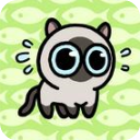 冒险猫手游